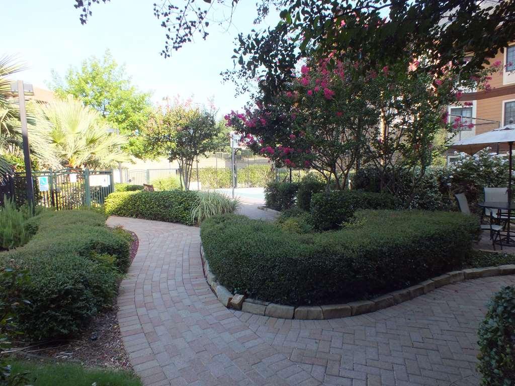 Sonesta Es Suites Dallas - Las Colinas Ървинг Екстериор снимка